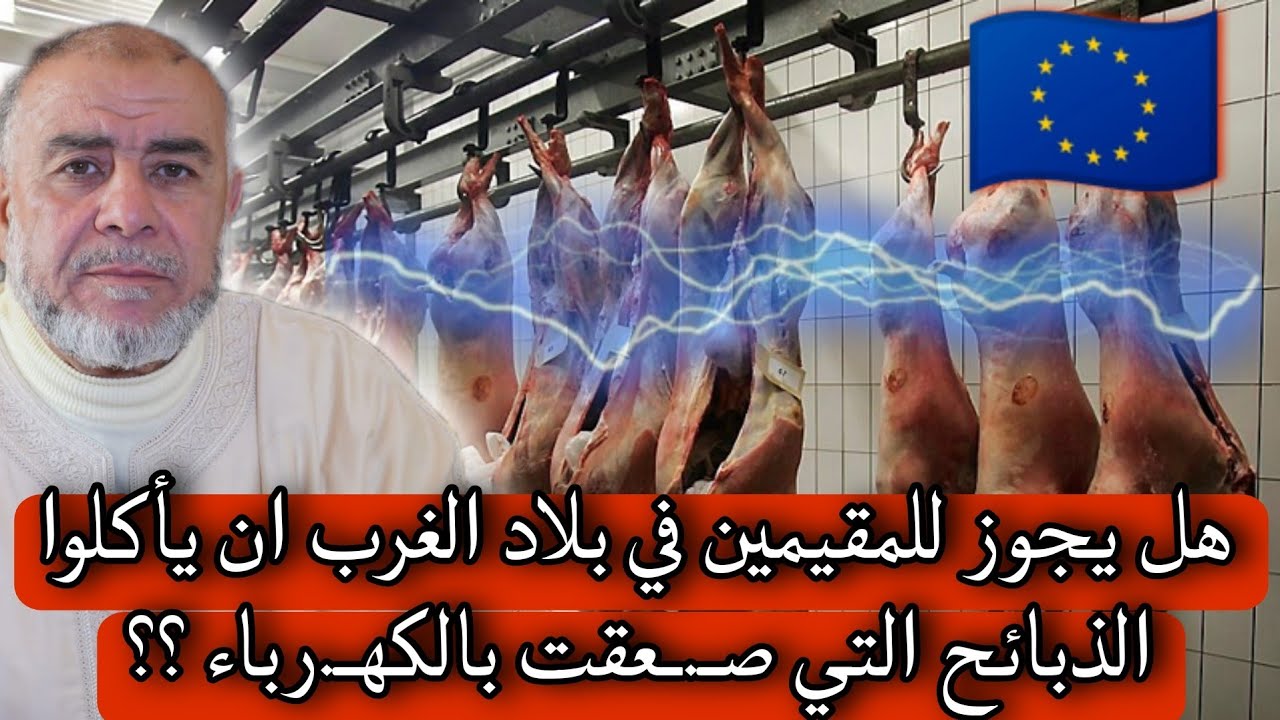 الشيخ عبد الله نهاري: هل يجوز للمقيمين في بلاد الغرب ان ياكلوا الذبائح التي صـ.ـعقت بالكهـ.رباء؟