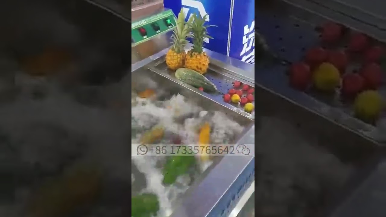 Food Processor Fruit Vegetable Ozone Bubble Washer Ultrasonic Ginger Cassava Washing Machine