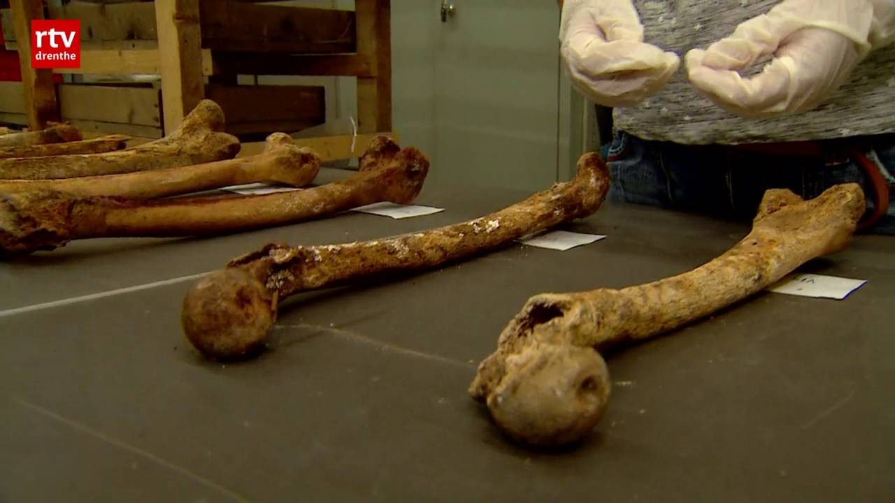 Geen drie maar zeven personen in de grafkelder van de Magnuskerk