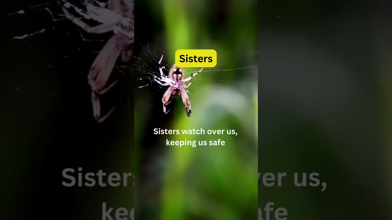 Empowering Sisters | Celebrating Strength, Support, and Sisterhood