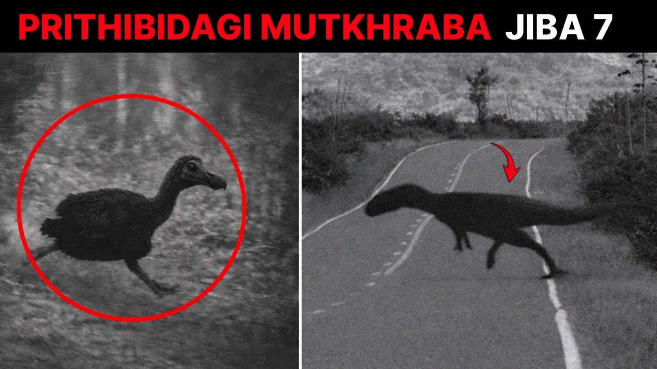 Prithibidagi MUTKHRBA JIBA 7 Ki Sktm 😳|| Internet Maiba 2.0 
