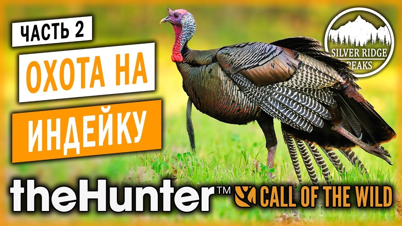 theHunter Call of the Wild #2 🦃 - Охота на Индейку - Заказник 