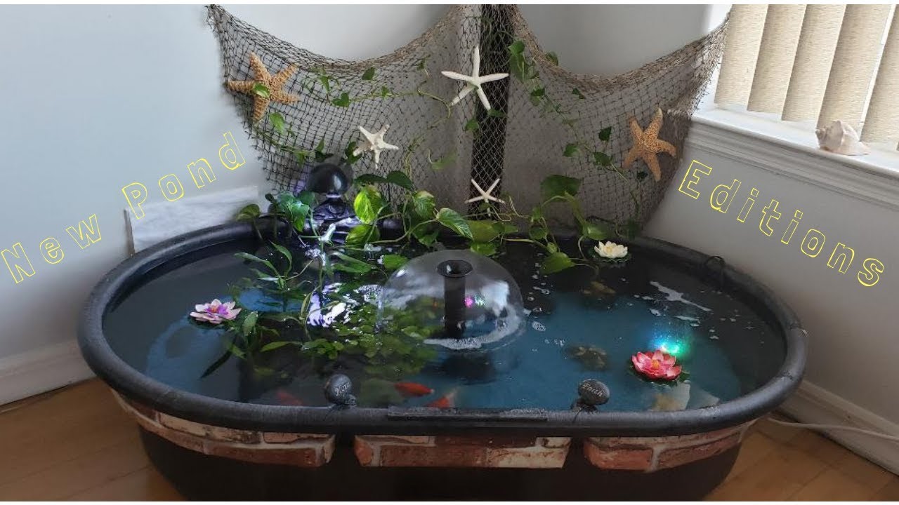 Маленький крытый пруд. Новые выпуски GoldFish | Как обустроить пруд в квартире, на балконе или па...