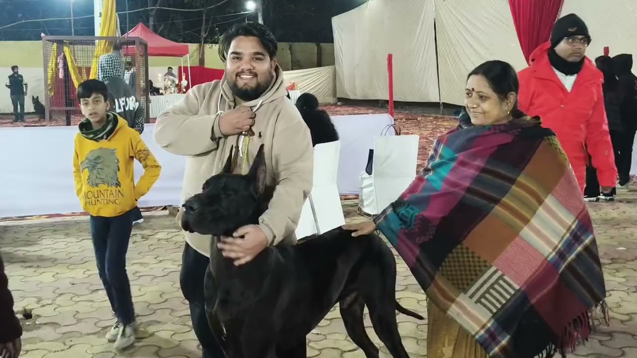Dog show mein dog hua pagal,😮😮