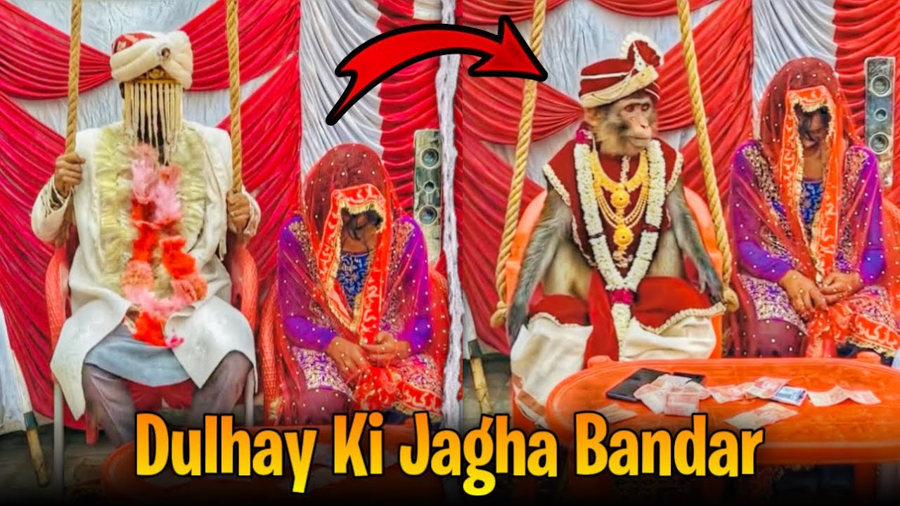 Bandar Sy Shadi😲 | Comedy Video | Crazy TV