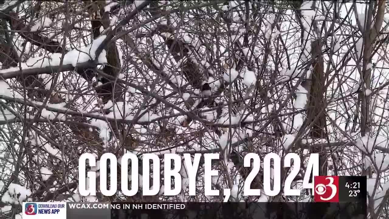 Stuck in Vermont: Looking back on 2024 with Eva Sollberger