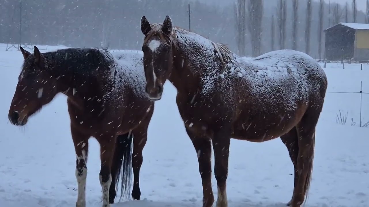 Život na farmě č. 2