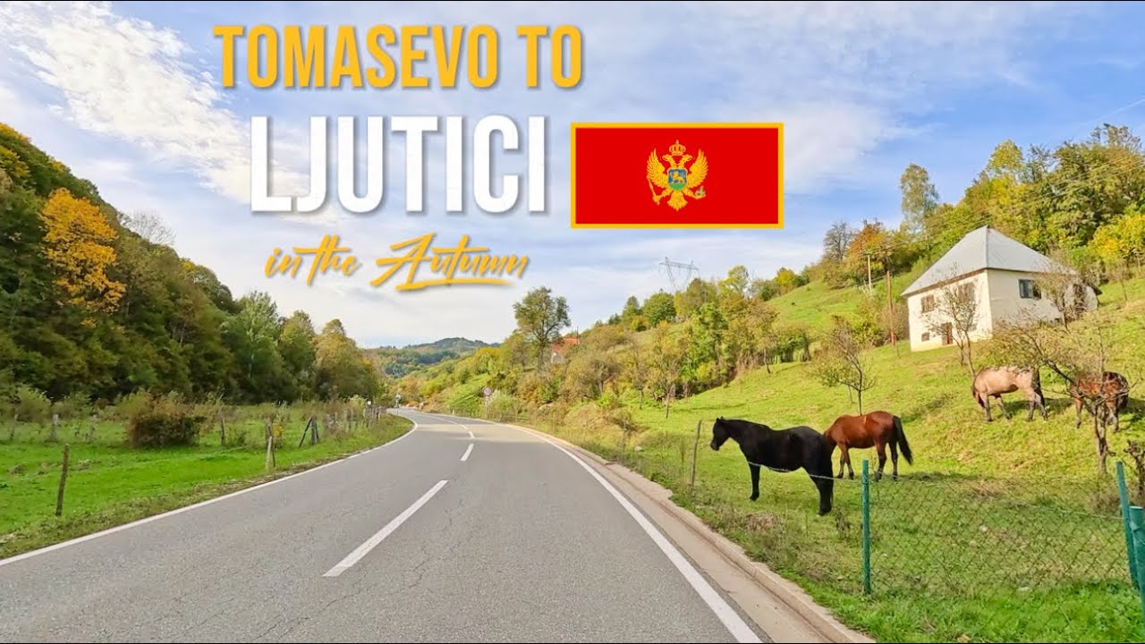 Scenic Drive in Montenegro 🇲🇪From Peaceful Toma&scaron;evo to the Mountain Charm of Ljutići October 2024