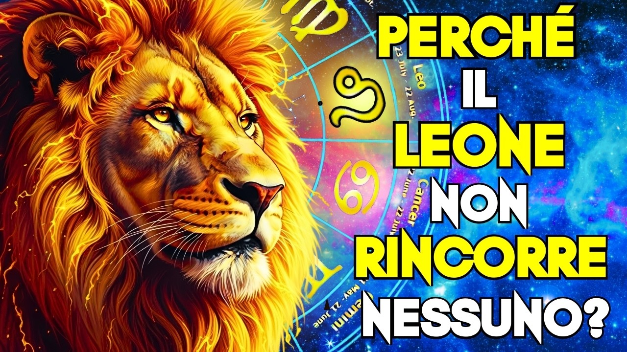 PERCHÉ IL LEONE NON CORRE DIETRO A NESSUNO? LA VERITÀ CHE NESSUNO RACCONTA!