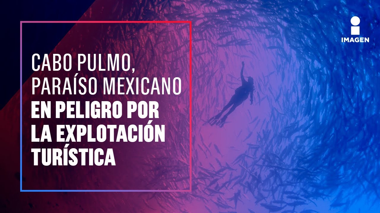 Cabo Pulmo, un para&iacute;so mexicano en peligro | Noticias con Francisco Zea