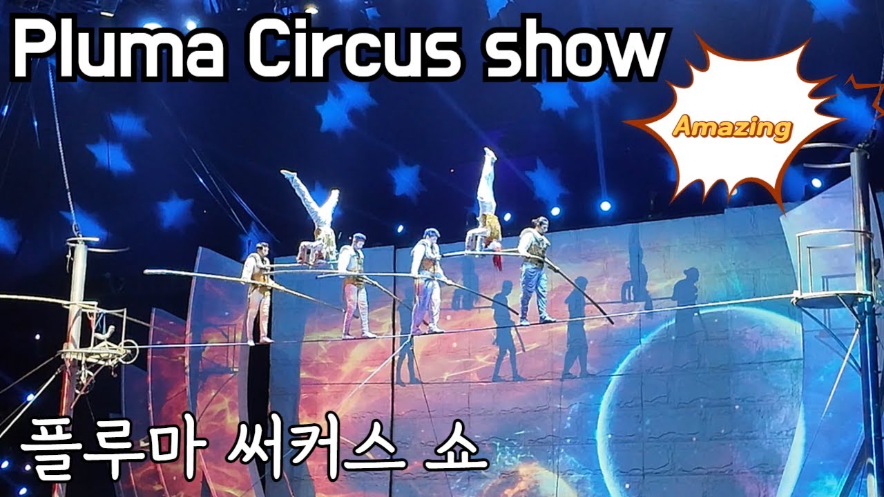 #4k #fullvideo Circus show ?? This blows my mind. Pluma Circus Show #plumacircus