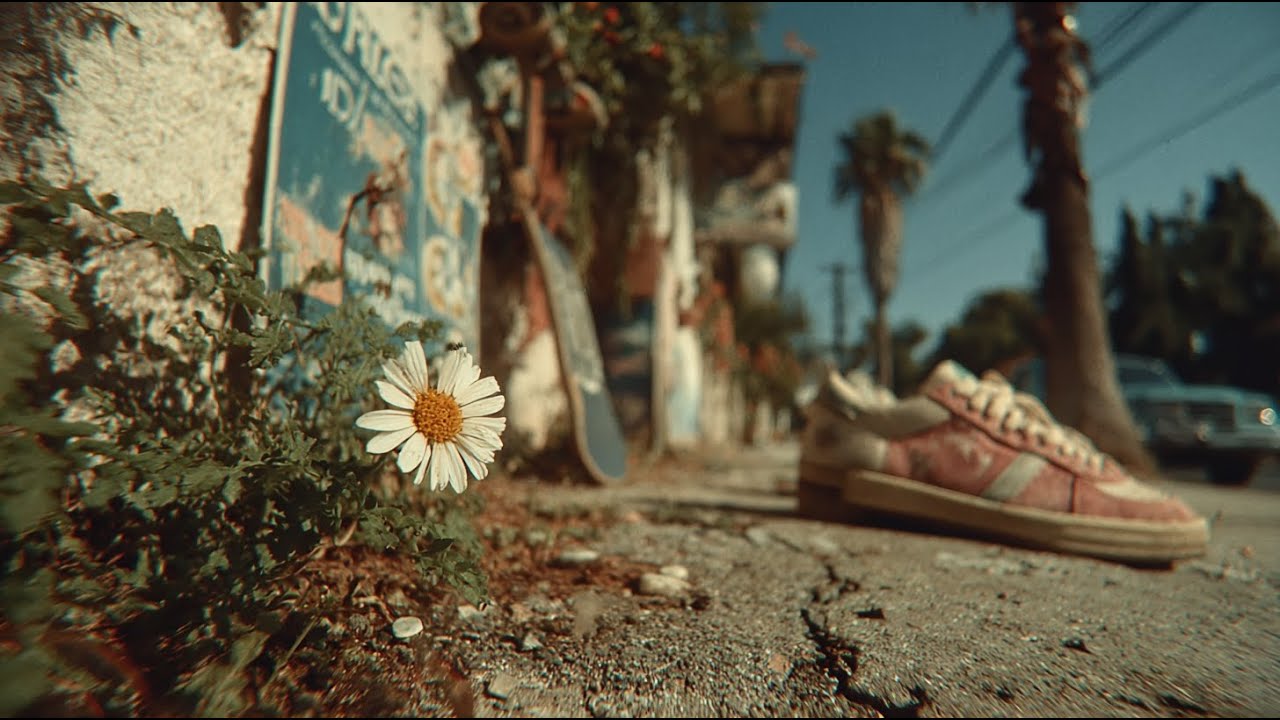 Daisy Bloom Vol.1 | Early Morning Chillhop 🎧 | Smooth Groovy Beats | Relax & Vibe & Contemplate to