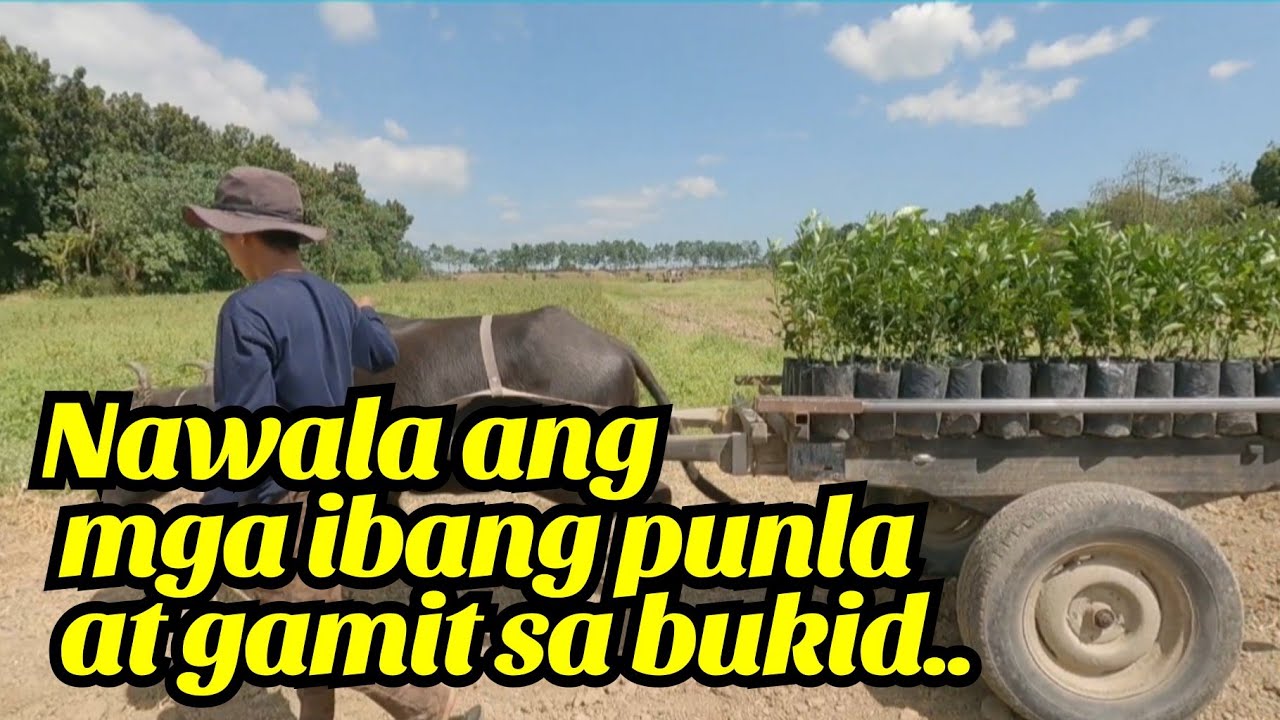 PROBLEMA PAG DI INAGAPAN 🤔