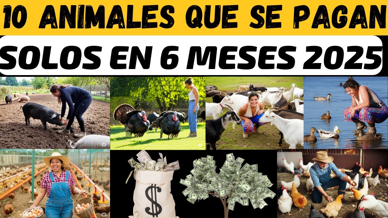 Granja Av&iacute;cola Sustentable 10 Animales que se Pagan SOLOS en 6 Meses