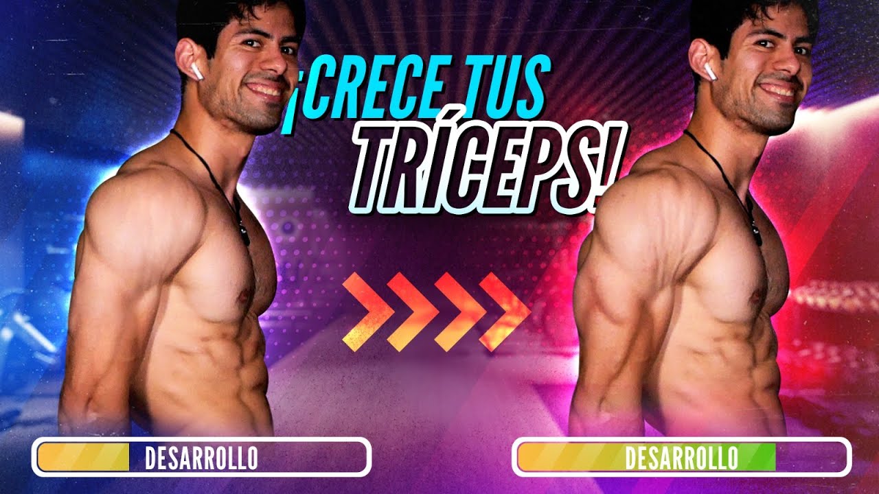 ¡CÓMO CRECER TUS TRÍCEPS CON UN ENTRENAMIENTO ESPECIALIZADO! (Novatos a Avanzados)