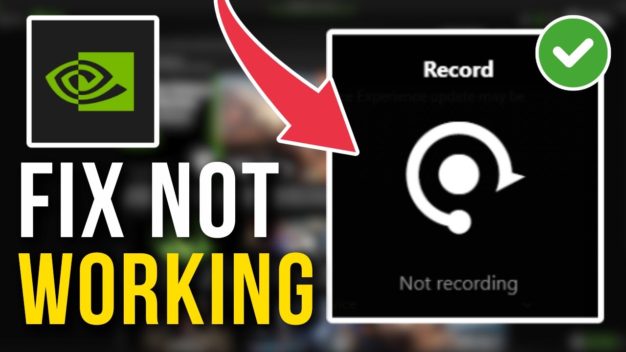 How To Fix GeForce Experience (NVIDIA App) Record Option Not Working