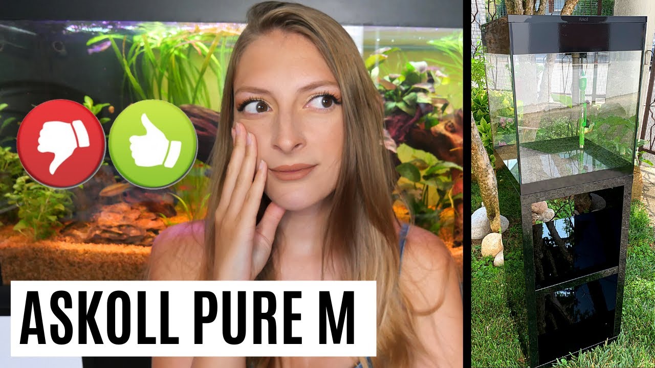 ASKOLL PURE M, cosa ne penso? Perchè l'ho dismesso? Pro e contro 👍🏼👎🏼
