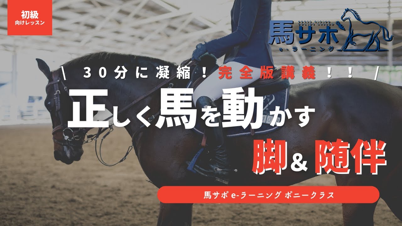 【完全版】30分に凝縮！馬の動かし方＆継続のための随伴とは？