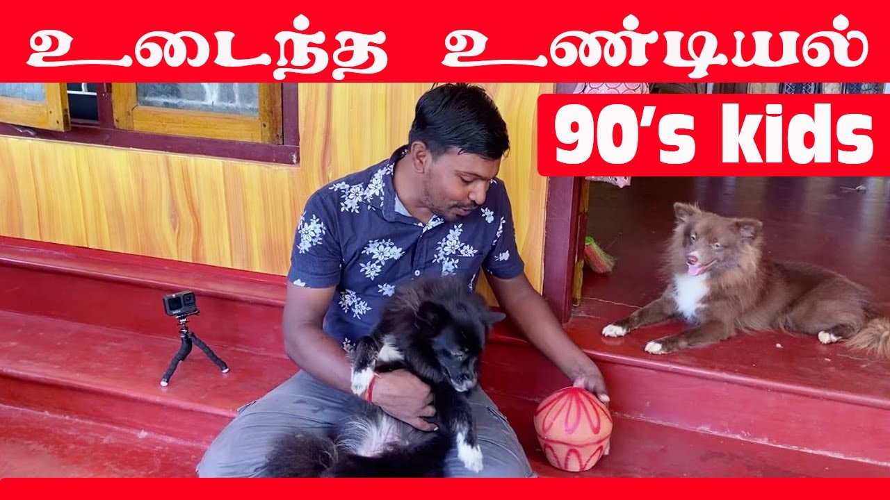 உடைந்த உண்டியல் உள்ளே 11000 ரூபாய் #valvaisulax