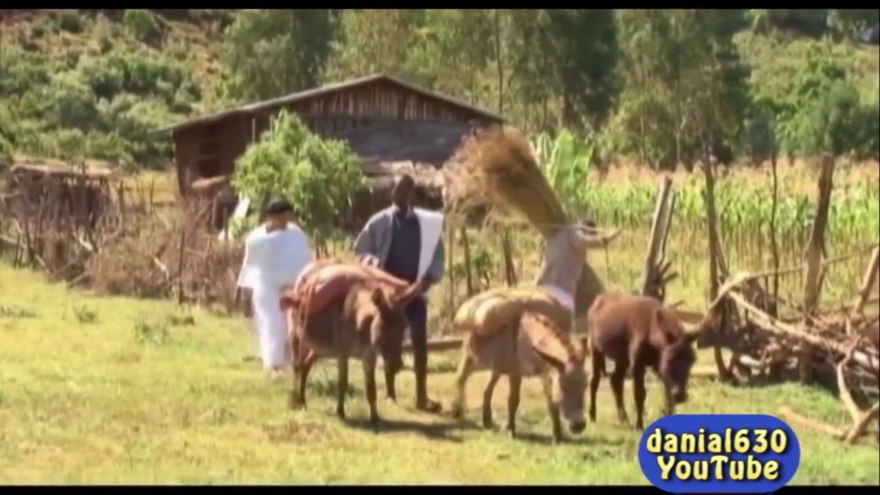 Worku Andualem - Aynama