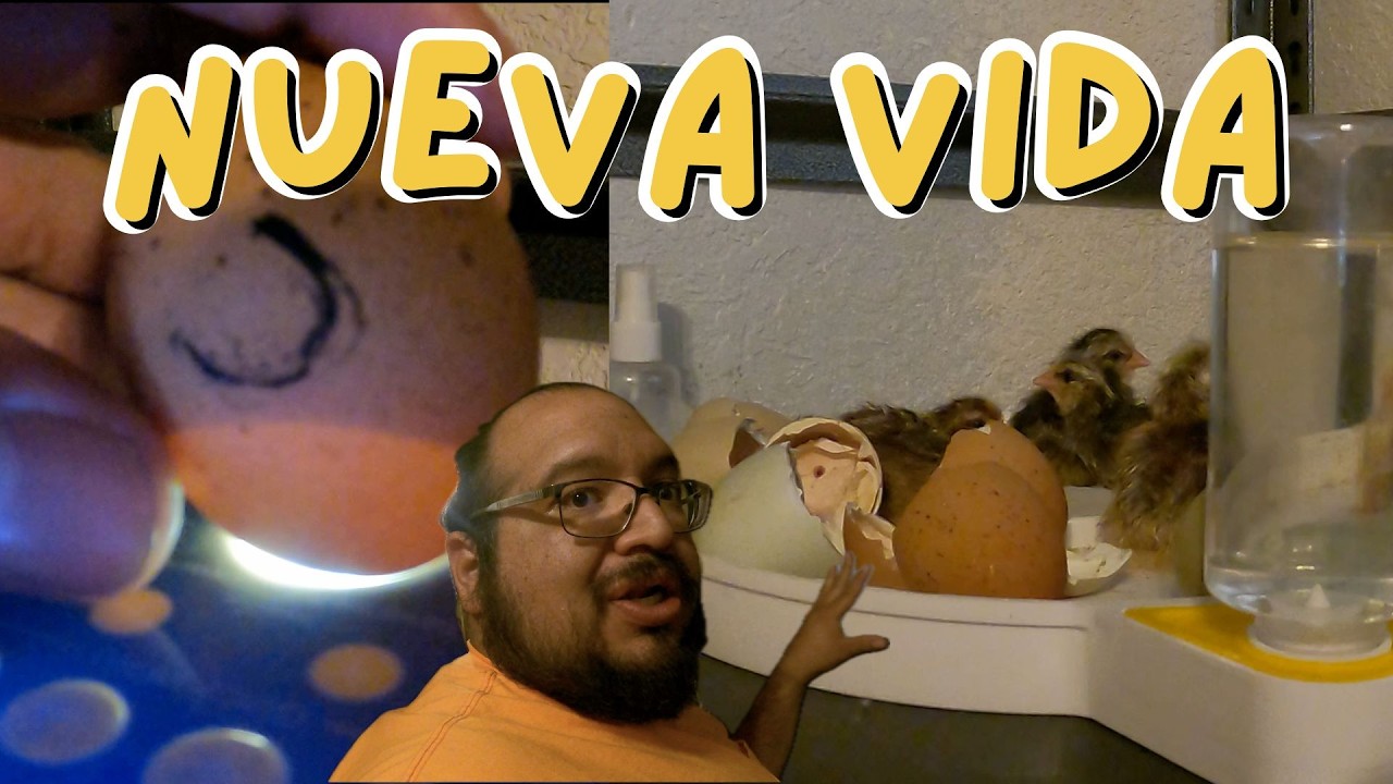 Con una máquina que realmente no funcionaba, Nacieron. Fue un milagro  - Blog 58