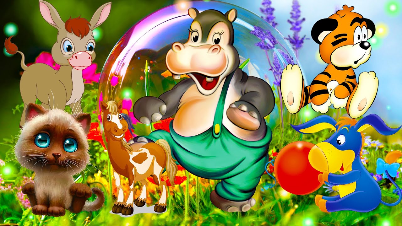 Animal Video Of Dogs, Cats, Horses, Elephants, Cows, Monkeys, Pigs,Buffalo, Gorilla, Lion