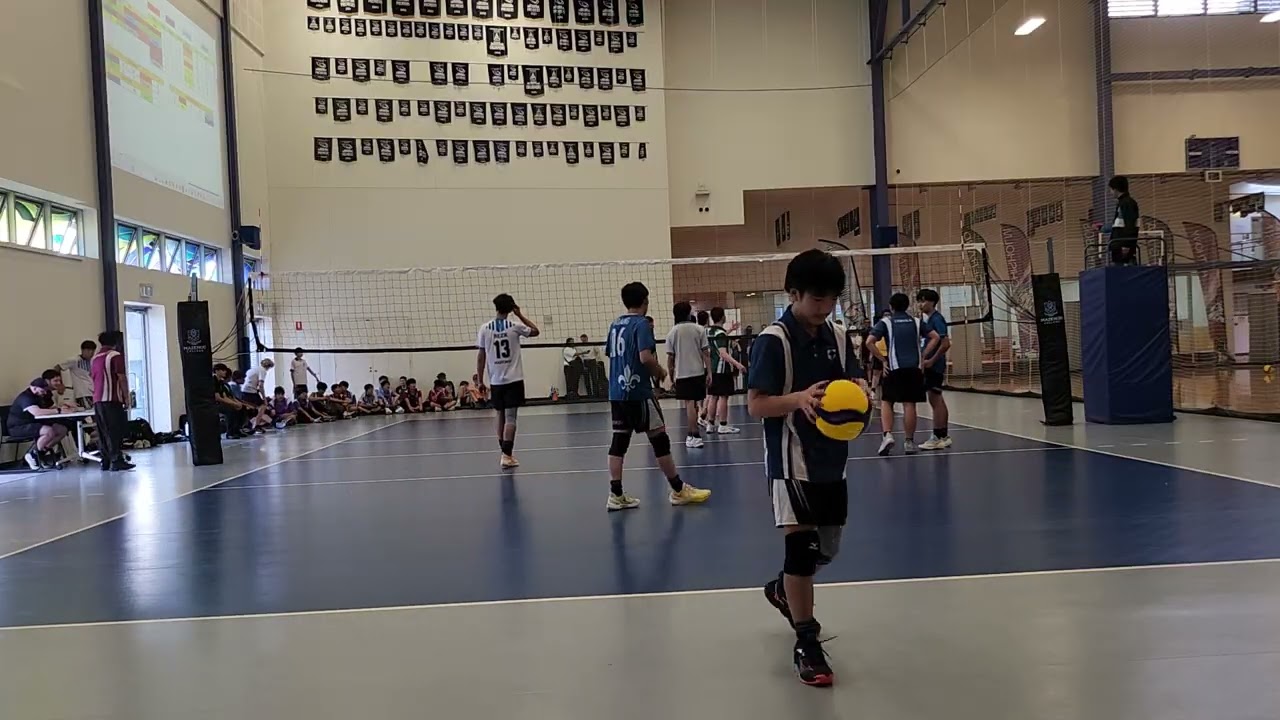Cebula vs gerard