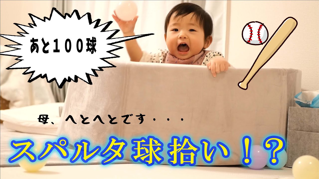 【気が済むまで投げる】ずっと家のなかでパワーがあり余ってます。。。