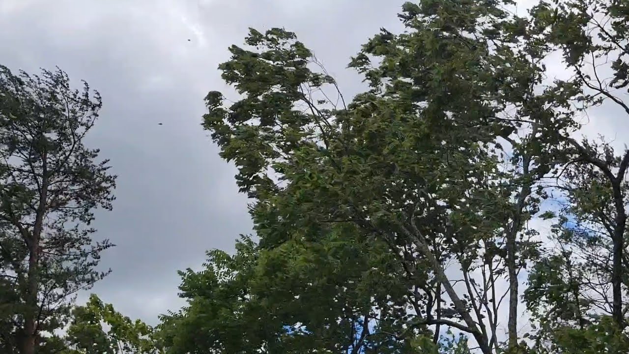 Ohio windstorm from hurricane Beryl