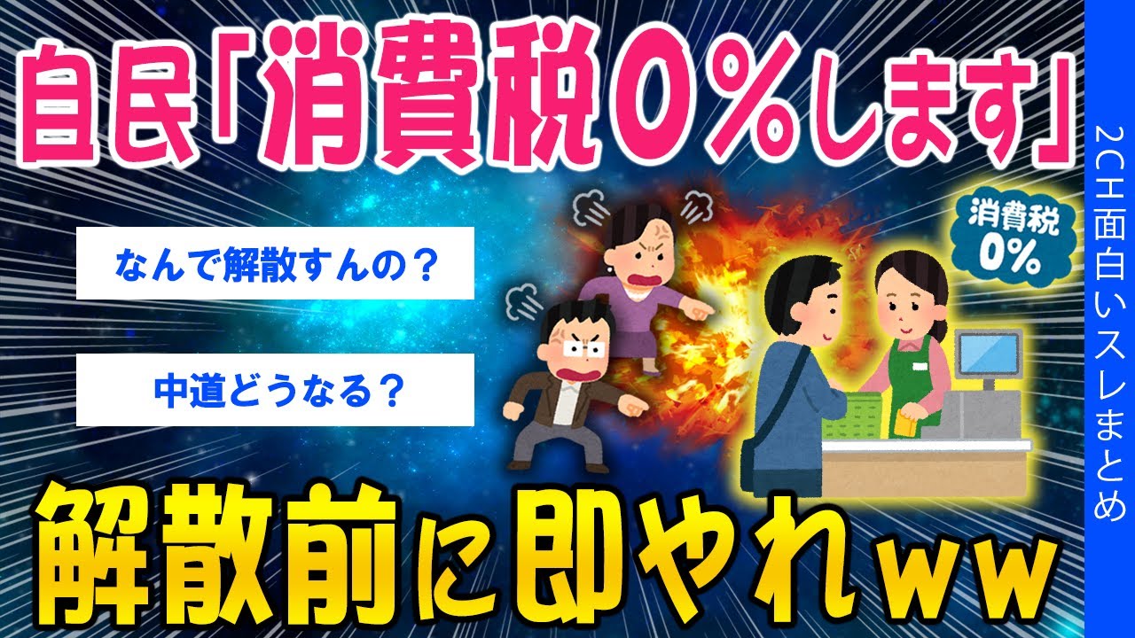 【2ch考えさせられるスレ】自民「消費税0％にします！」解散前に即やれｗｗ【ゆっくり解説】
