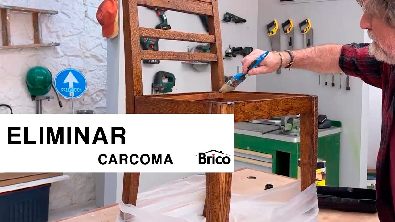 Cómo ELIMINAR la CARCOMA de manera DEFINITIVA 🐛​ Aprende a detectarla 🪑​ Bricomania
