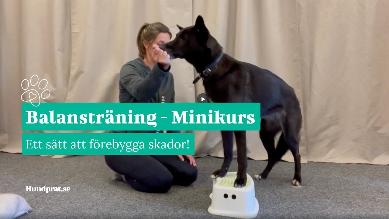 Balanstr&auml;ning - Ett s&auml;tt att f&ouml;rebygga skador
