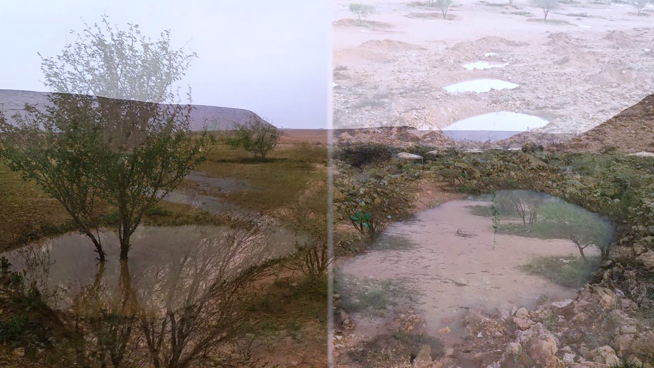 متنزه الغاط