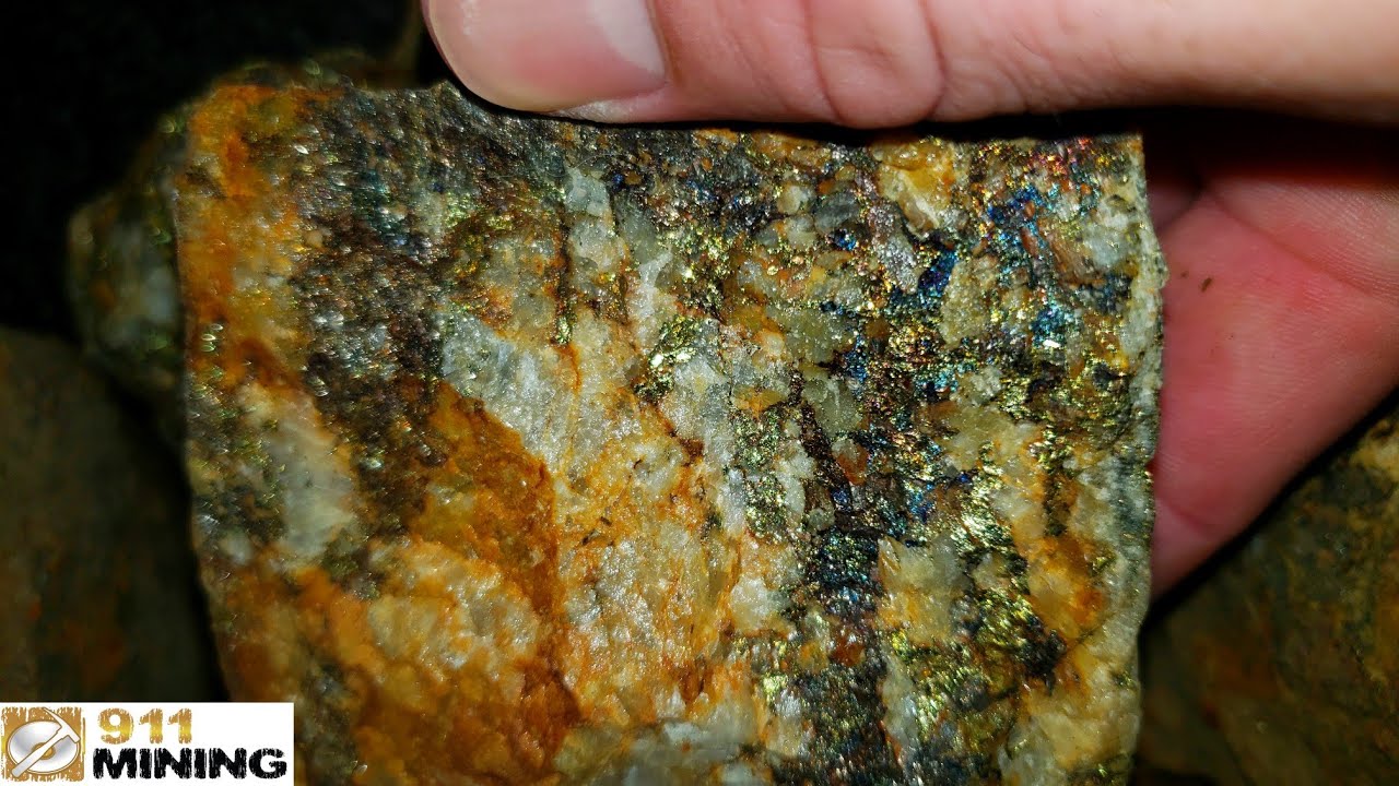 Bornite & Chalcopyrite From A Big Quartz Vein!