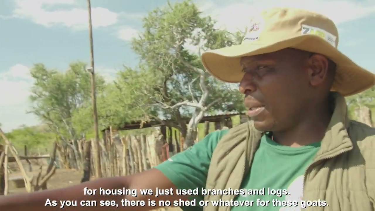 The transformative power of commercial goat production, the story of Ntuthuko Nyathi