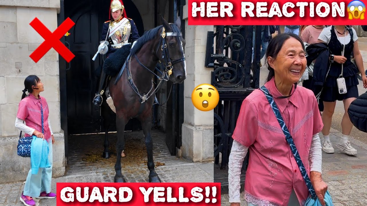 😲WATCH: Elderly Korean Tourist TRIGGERS Guard — Then BURSTS Out LAUGHING‼️