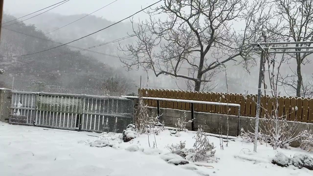 Korean Snowy Village Ambience 4K | Relaxing Winter Sounds