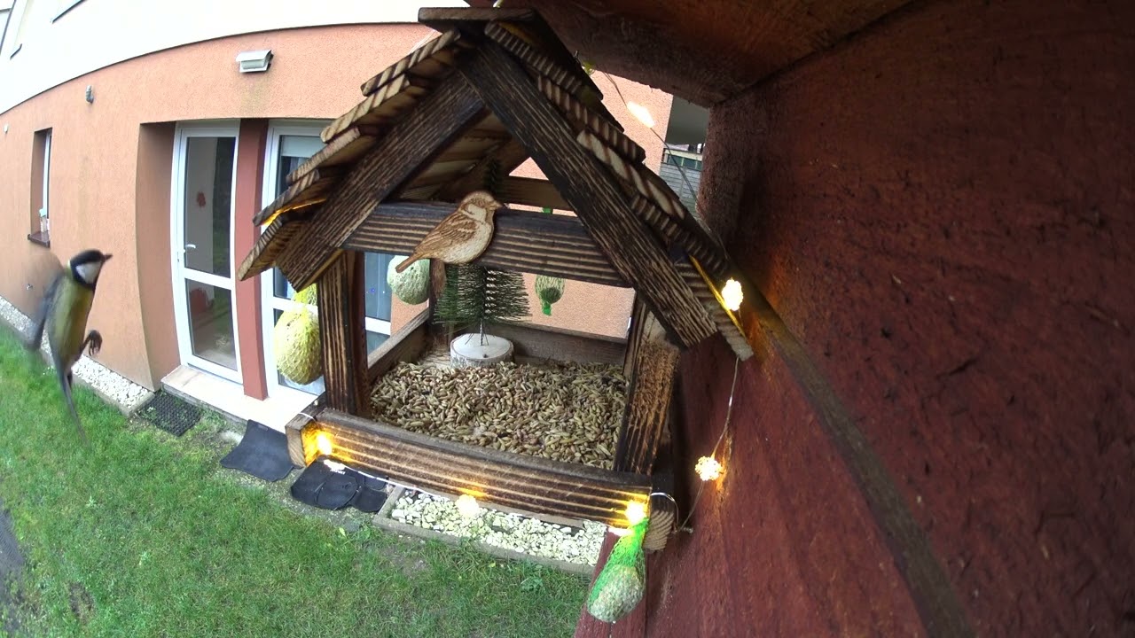 BirdSpyCam  -  Christmas Feeder