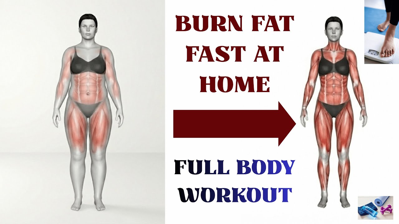 Full Body Fat Burn Workout 🔥 Cardio & Metabolism Boost at Home