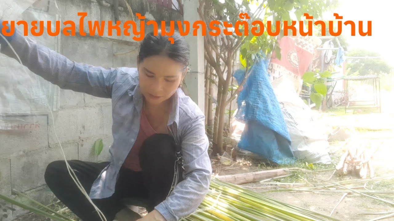 # มีงานก็ทำไปนี่คือกิจวัตรประจำวันของยายบลหาไปหาแต่แนวเฮ็ดไพหญ้ามุงกระต๊อบ