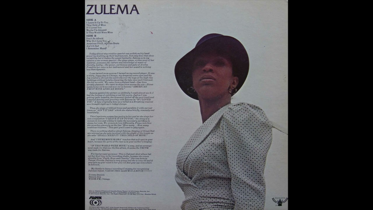 Hip Hop Beat (Zulema Sample II)