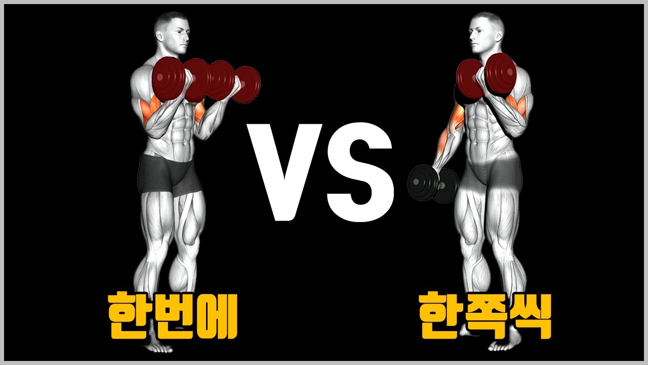덤벨컬 VS 얼터네이팅 덤벨컬