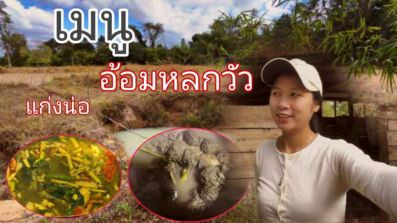 ออกนาหาเขียดหาน่อไม้คนเดียว