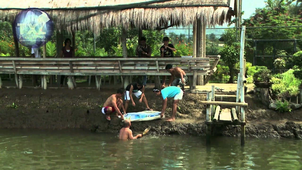 20 : 15 : 2012 Philippines Part 7 No.1 Memorable moment above water