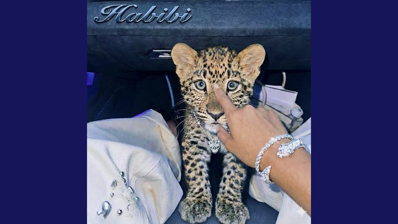 Habibi