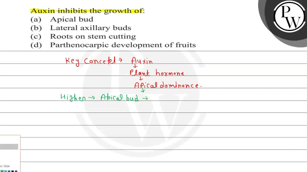 Auxin inhibits the growth of: (a) Apical bud (b) Lateral axillary b...