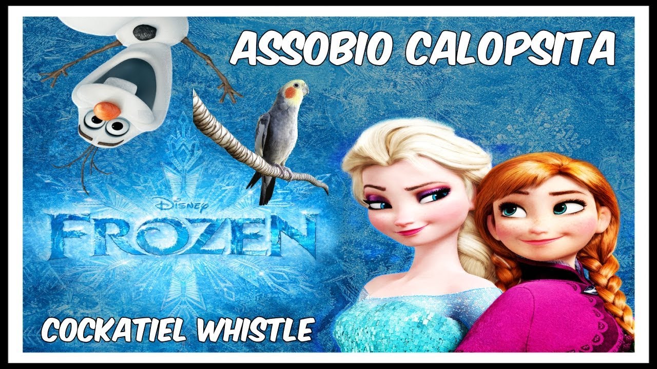 ASSOBIO CALOPSITA - FROZEN LET IT GO #1 - COCKATIEL WHISTLE