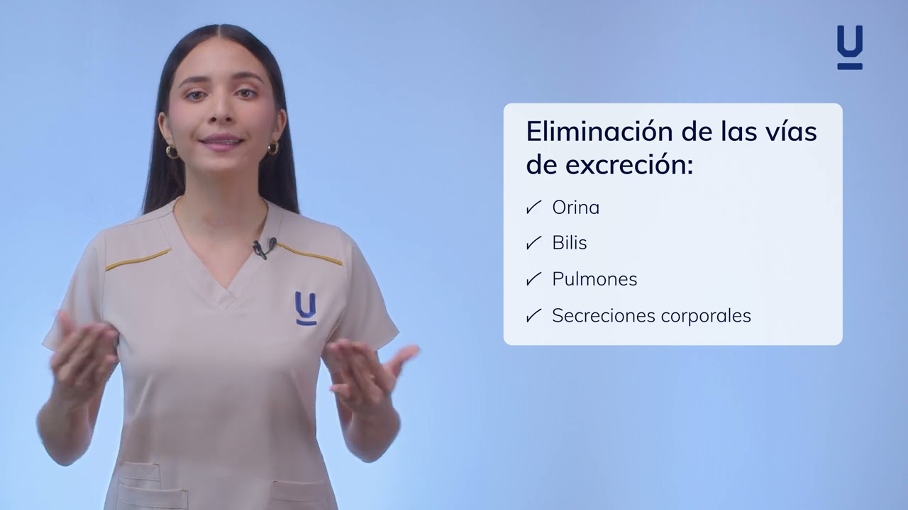 Vías de excreción de fármacos - Curso de farmacología