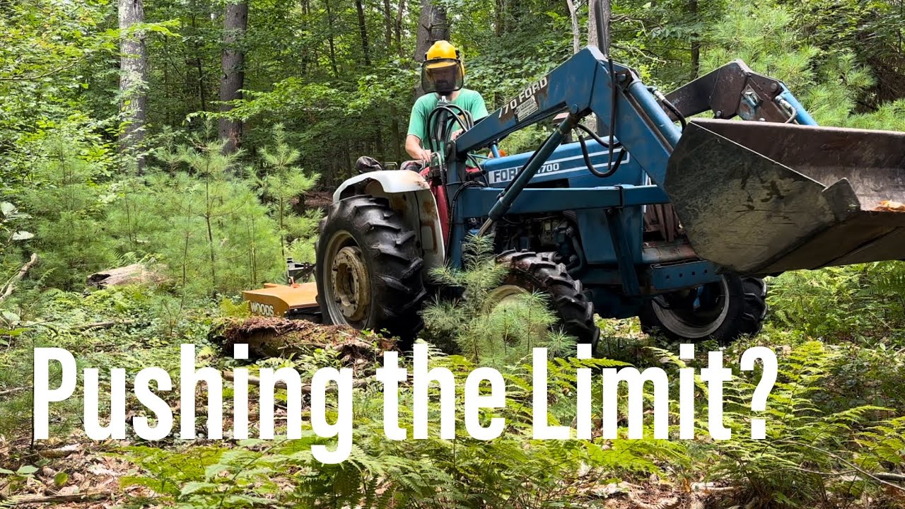 Making a Tractor Road in the Woods with a Ford 1700 and Woods BB60.30 Rotary Cutter