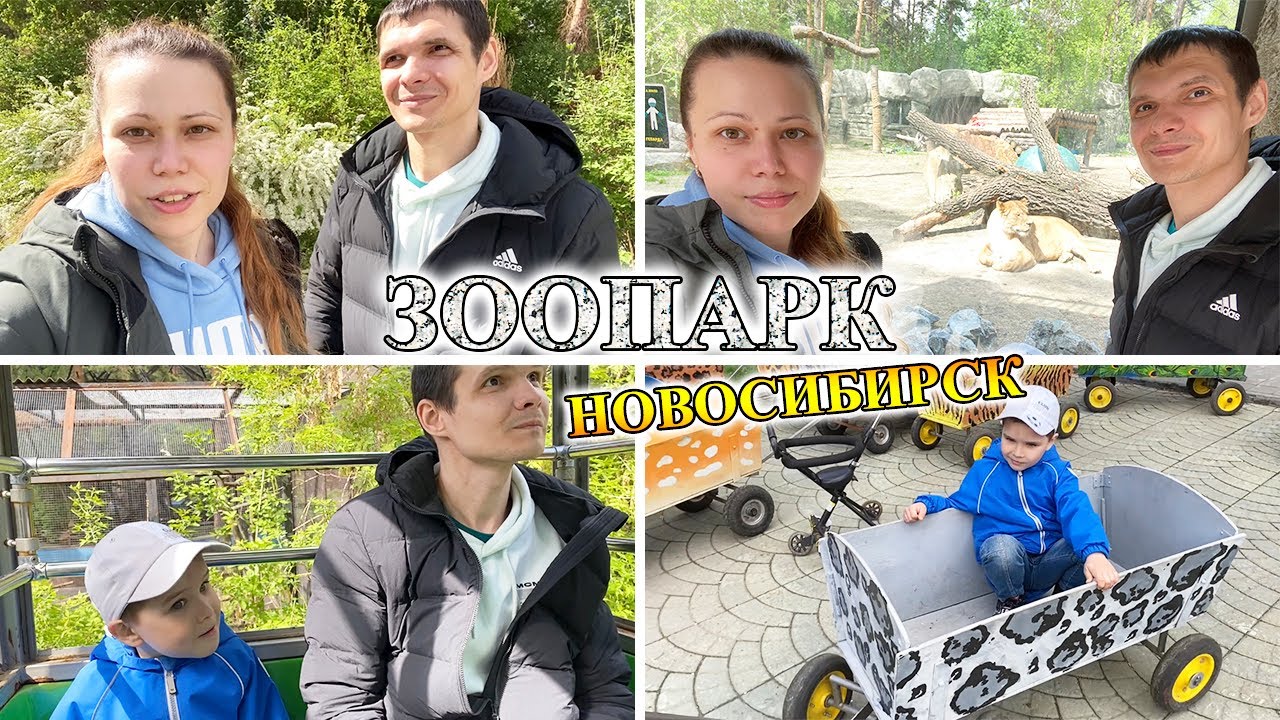 Влог || Первое впечатление о городе || Новосибирский зоопарк